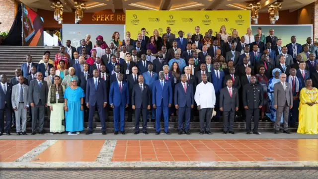 shirka hormarinta beeraha ee Afrika