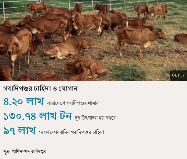 গবাদিপশুর চাহিদা ও যোগান