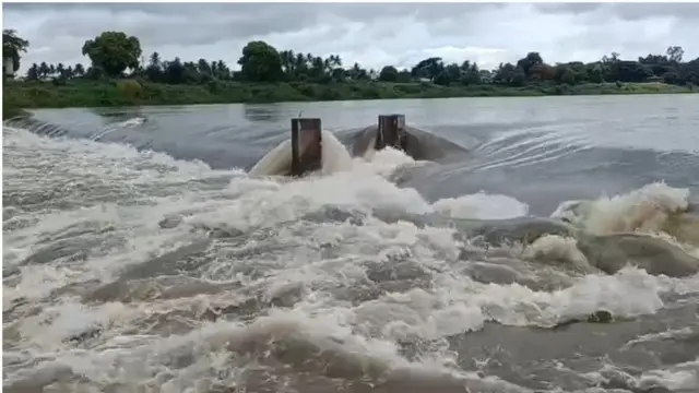 सांगली जिल्ह्यात पावसाची संततधर कायम असून कृष्णा,वारणा आणि येरळा नद्या दुथडीभरून वाहू लागल्या.