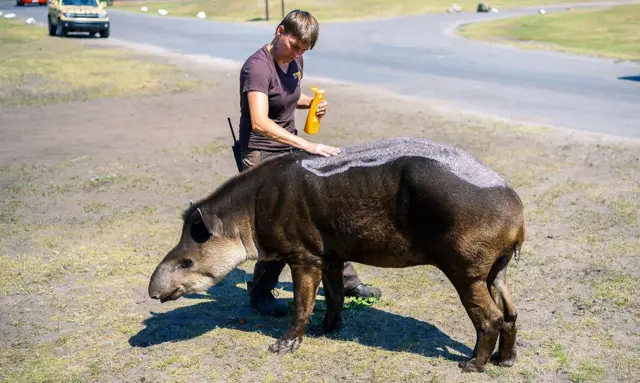 сонцезахисний крем