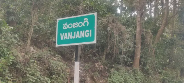 అరకు