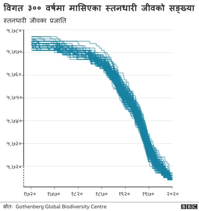 जीवहरू लोप हुने अवस्थाको चित्रण