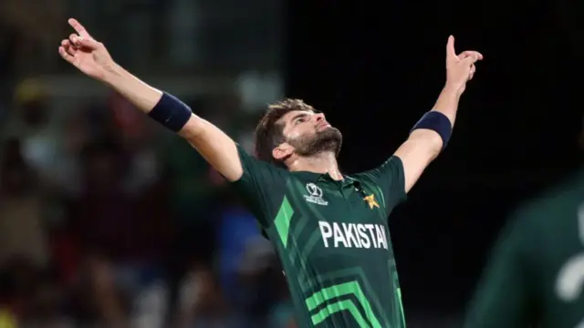 شاہین شاہ آفریدی