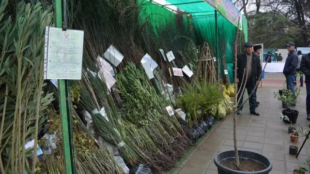 مراسم جشن سده در دوشنبه، تاجیکستان، ۳۰ ژانویه ۲۰۲۴