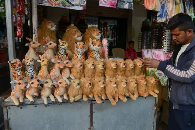 સાસણ ગીર લાયન સફારી