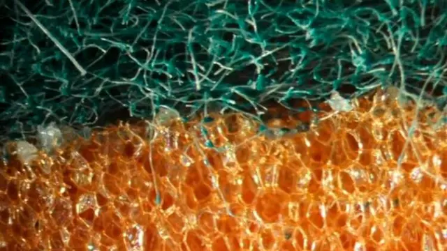 Кухонна губка під мікроскопом