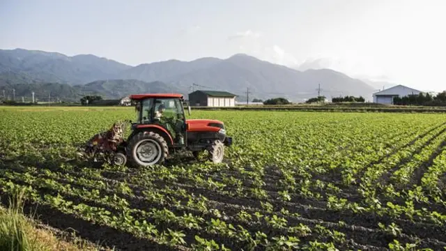 Un tracteur dans un champ