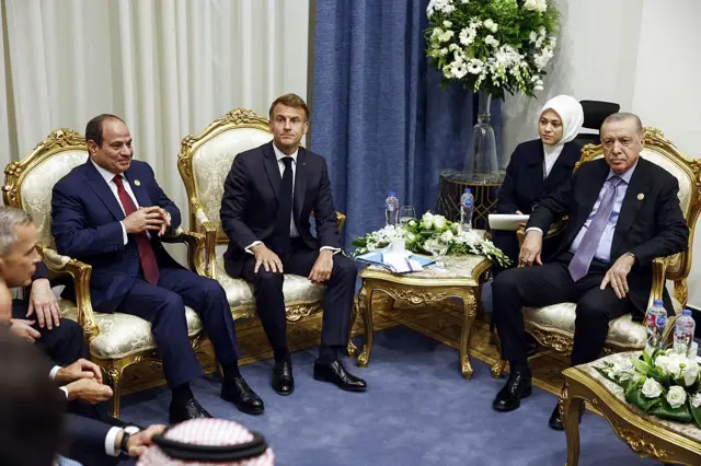 روسای جمهور ترکیه ، فرانسه و مصر در عکس دیده می شوند