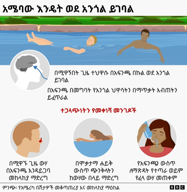 የበሽታው መተላለፊያ መንገዶች