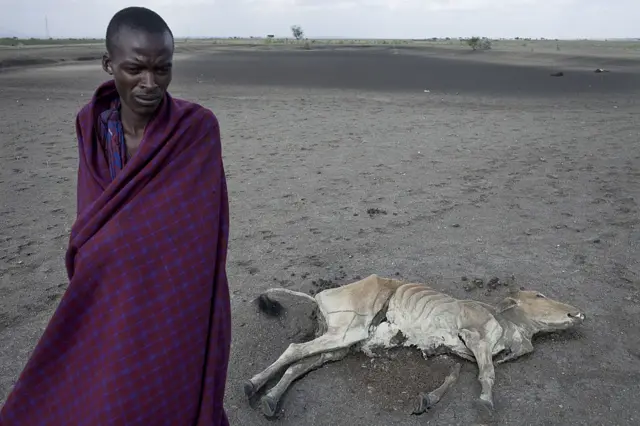 मरुभूमिमा मृत गाइसँगै एक व्यक्ति