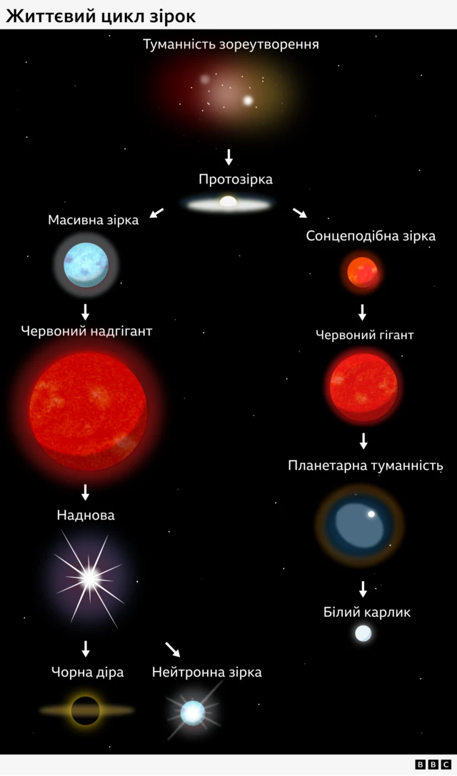 Схема, що ілюструє життєвий цикл зірок: зоряна туманність утворює протозірку, яка може піти одним із двох шляхів; якщо вона стає масивною зіркою, то перетворюється на червоного надгіганта, потім вибухає як наднова і врешті дає початок чорній дірі або нейтронній зорі; якщо ж вона стає зіркою типу Сонця, то перетворюється на червоного гіганта, потім на планетарну туманність і зрештою на білого карлика.