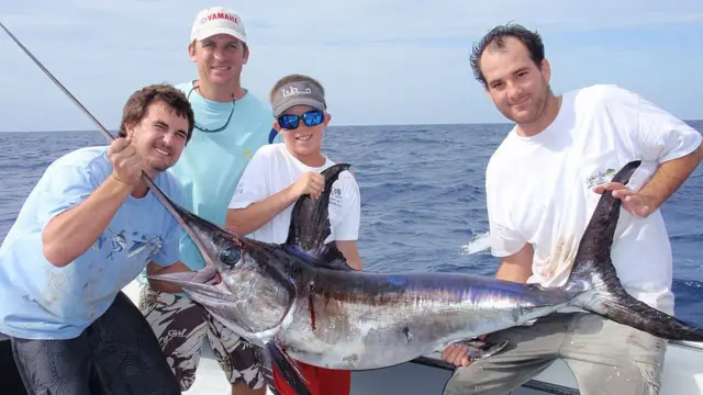 సర్జరీ, కత్తి ముక్క గల చేప, మృతి