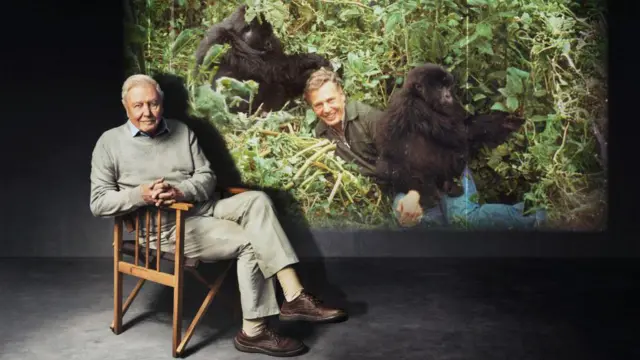 David Attenborough sentado frente a una foto de él con los gorilas hace 50 años