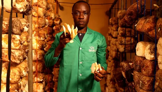 Foto of Amos Bummy, Agric Economist wey dey into mushroom farming