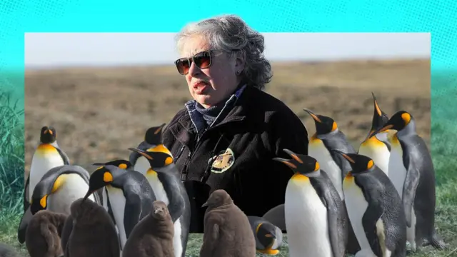 Imagen compuesta que muestra a Cecilia Durán Gafo, en Bahía Inútil, con binoculares y un abrigo polar con el logo de la Reserva Natural Pingüino Rey, y a algunos pingüinos de la colonia
