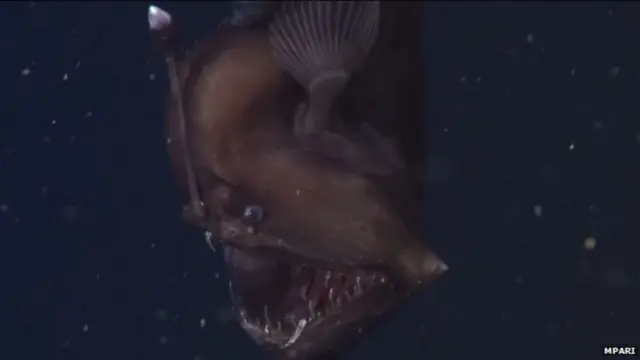 ጾታዊ ርክብ ድሕሪ ምፍጻም ምስታ ኣንስተይቲ ተጣቢቖም ይነብሩ