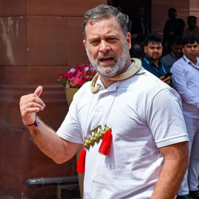 राहुल गांधी 