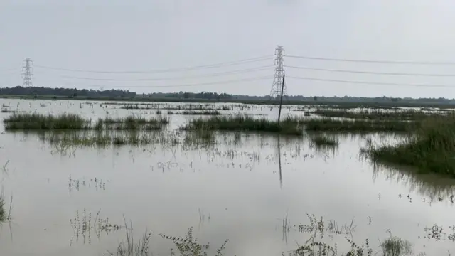 दरभंगा में जहां एम्स के लिए ज़मीन दी गई थी वहां की तस्वीर