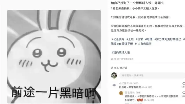 لین یک سوسک کاوشگر را به عنوان آواتار خود در شبکه‌های اجتماعی انتخاب کرده که هزاران بازدیدکننده دارد