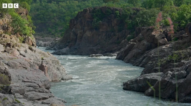 மேகேதாட்டு, காவிரி நதி நீர் பங்கீடு, தமிழ்நாடு, கர்நாடகா 