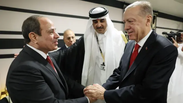 Sisi ve Erdoğan