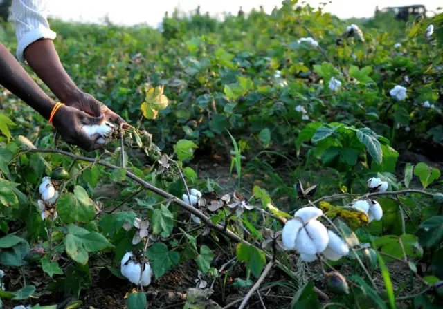  రైతులు, గిట్టుబాటు ధర, ఆత్మహత్యలు, పత్తి, మిర్చి, పొగాకు