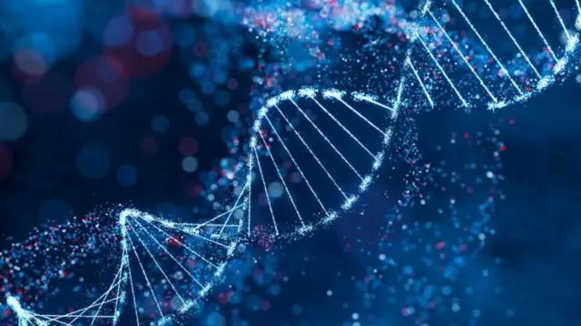 డీఎన్‌ఏ