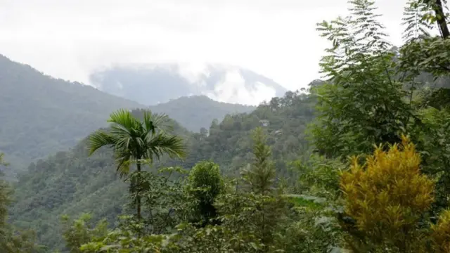 పశ్చిమ కనుమలు