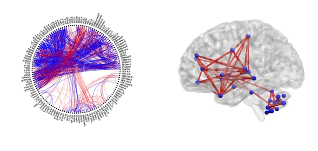 Demeydeki bağlantıları görselleştiren iki grafik.