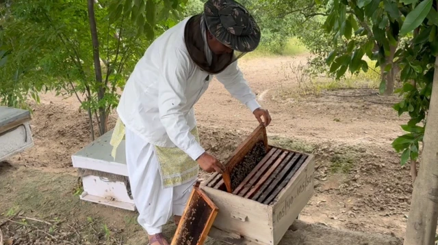 ਸੁਖਪਾਲ ਕੌਰ