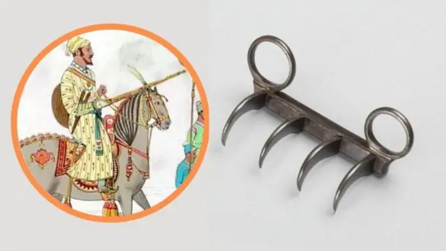 महाराजांच्या वाघनखांबद्दलही सर्व बाजूंनी चर्चा होते आहे.