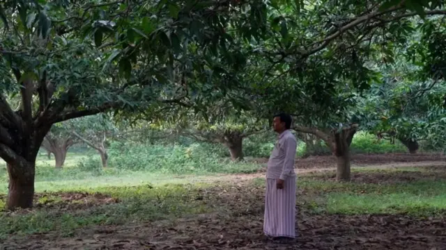 आमराईत मोहम्मद अजमत