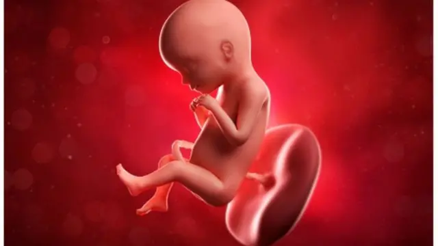 బిడ్డపై హార్మోన్ల ప్రభావం 