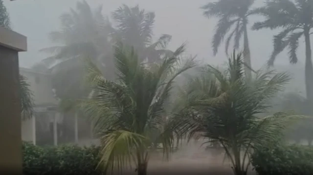 વરસાદની તસવીર