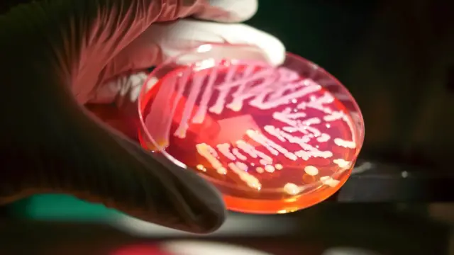 Expérience en laboratoire.