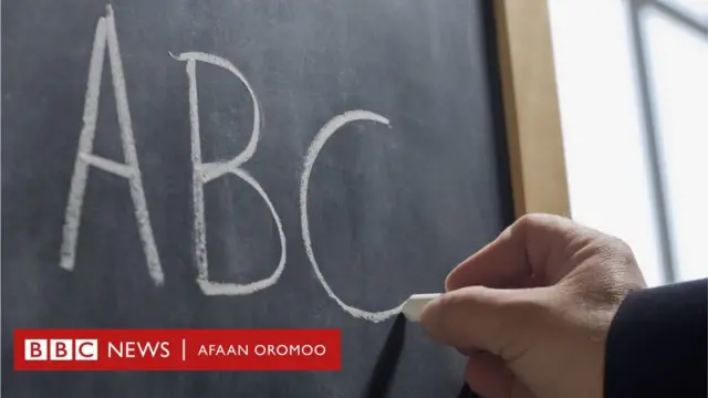 Nama Qubee Afaan Oromoo barreessaa jiru