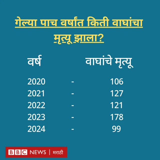 ग्राफिक्स