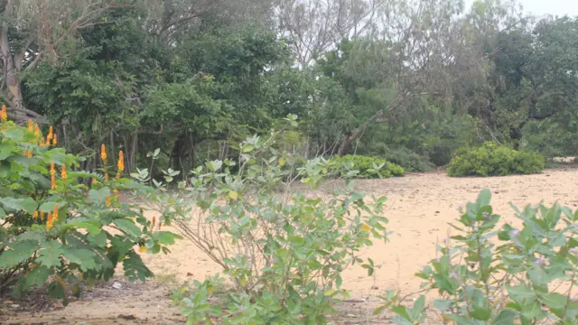 முஸ்லிம்களின் உடல்கள் புதைக்கப்பட்டுள்ளதாக ரஊப் அடையாளம காட்டிய இடம்