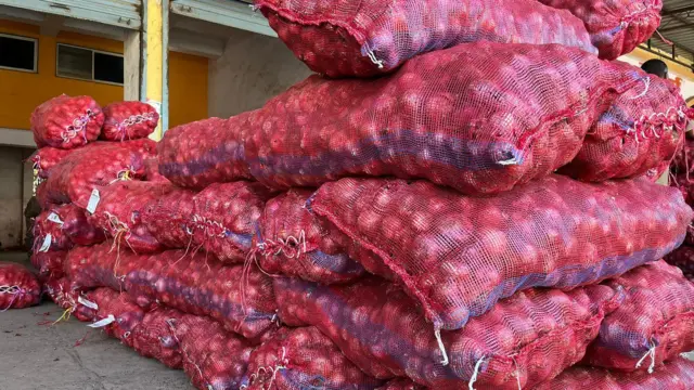 ऑक्टोबर महिन्यात नवीन कांद्याची आवक वाढल्यानंतर कांद्याचे भाव पडतील, असं अभ्यासक नमूद करतात.