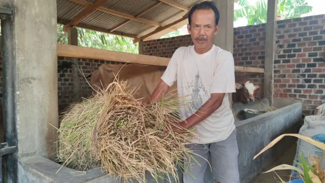 harga beras hari ini