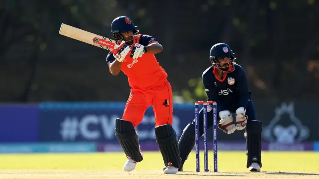 क्रिकेट