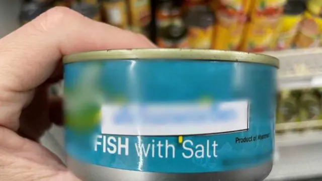 တရားမဝင်တင်သွင်းလာတဲ့ မြန်မာသားငါးထုတ်ကုန်တွေကို အမေရိကန် စုံစမ်းမယ်