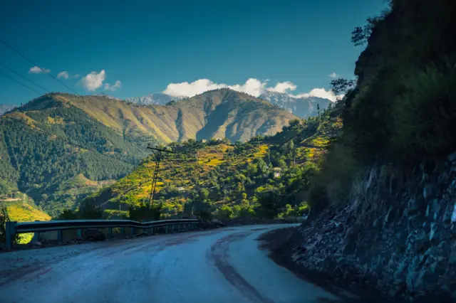 જંગલ એટલું ગાઢ હતું કે ધોળે દિવસે પણ અંધારું દિસતું હતું 