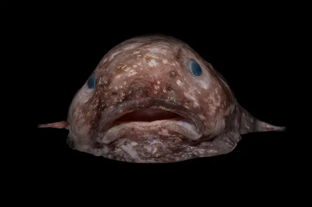 ,
