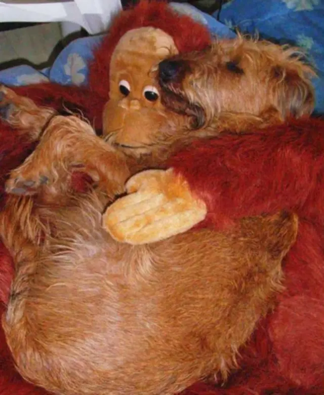 Надобраніч!