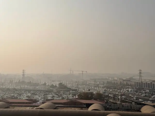 Тошкент узра чанг. Сурат 24 ноябрда олинган.