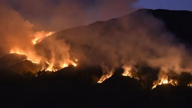 Api berkobar sejak pertengahan Agustus saat musim kemarau di kawasan Taman Nasional Bromo Tengger Semeru, Jawa Timur, pada 9 September 2023.
