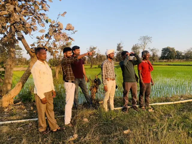 शेतातील सारस पक्ष्यांच्या जोडीचं निरीक्षण करणारे ग्रामस्थ