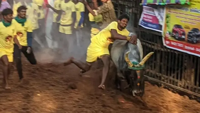 ஜல்லிக்கட்டு