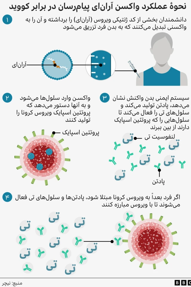 شمای عملکرد واکسن